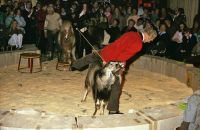 1985-01-12 Doe mer wa show B23 1985-01-12 Doe mer wa show B23